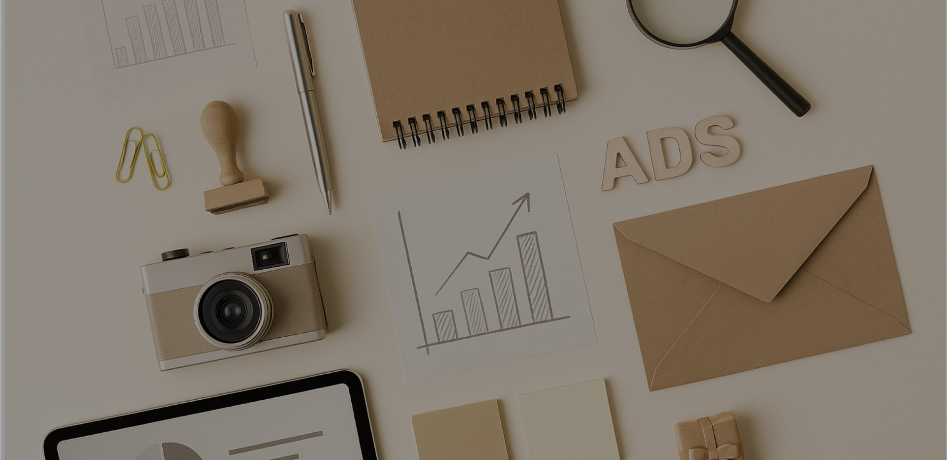 Lion & Lion Case Study